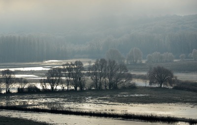 Rampenfonds wateroverlast erkend